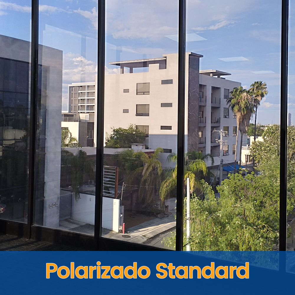 polarizado_contraluz